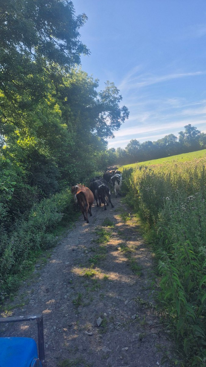 No hurry this evening.