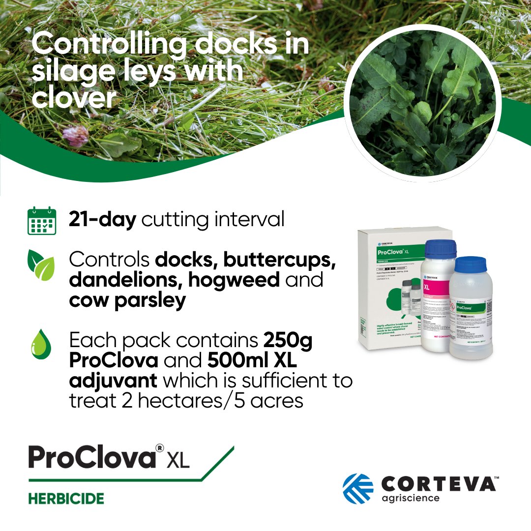 Corteva UK (@cortevauk) on Twitter photo 🌱 Want to control docks in grass + clover silage leys?
ProClova® XL is the NEW selective herbicide for grassland AND it is clover-safe!
If you’ve got white and or red clover in the sward, then this is your go to solution. 
🔗 Visit corteva.co.uk/proclova for more information. 🌱 Want to control docks in grass + clover silage leys?
ProClova® XL is the NEW selective herbicide for grassland AND it is clover-safe!
If you’ve got white and or red clover in the sward, then this is your go to solution. 
🔗 Visit corteva.co.uk/proclova for more information.