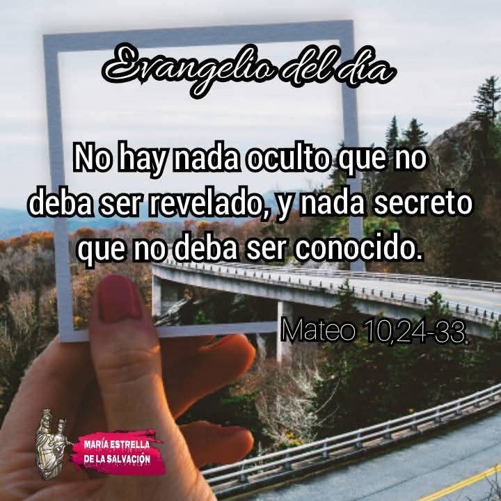 Francisco Esparza (@pachas14) on Twitter photo ⚪ ORDINARIO, MEMORIA
SANTA VERONICA DE JERUSALÉN
"No hay nada oculto que no llegue a saberse, ni nada que no pueda ser revelado"
<a href="/LilianaSnchez9/">Liliana Sánchez 🇦🇷♌🦁</a> <a href="/poctavio65/">Octavio Martínez</a> <a href="/AgustnGonzlezO1/">Padre Agustín G.O</a> <a href="/Pdre_Rafa/">Padre Rafa</a> <a href="/ximetar/">Joaquin C Guardiolaﻥ</a> <a href="/jalisco52/">Unreal</a> <a href="/EliMorales0837/">Eli Morales</a> <a href="/irmaalvarez3210/">@IrmaAlvarez3210</a> <a href="/ggabins/">gabriela nuñez 🇻🇦</a> <a href="/newkike1/">@newkike</a> <a href="/pgnora/">Nora Piña Ghazzaoui</a> <a href="/XimPete/">Familia Olguin Pobl</a> ⚪ ORDINARIO, MEMORIA
SANTA VERONICA DE JERUSALÉN
"No hay nada oculto que no llegue a saberse, ni nada que no pueda ser revelado"
<a href="/LilianaSnchez9/">Liliana Sánchez 🇦🇷♌🦁</a> <a href="/poctavio65/">Octavio Martínez</a> <a href="/AgustnGonzlezO1/">Padre Agustín G.O</a> <a href="/Pdre_Rafa/">Padre Rafa</a> <a href="/ximetar/">Joaquin C Guardiolaﻥ</a> <a href="/jalisco52/">Unreal</a> <a href="/EliMorales0837/">Eli Morales</a> <a href="/irmaalvarez3210/">@IrmaAlvarez3210</a> <a href="/ggabins/">gabriela nuñez 🇻🇦</a> <a href="/newkike1/">@newkike</a> <a href="/pgnora/">Nora Piña Ghazzaoui</a> <a href="/XimPete/">Familia Olguin Pobl</a>