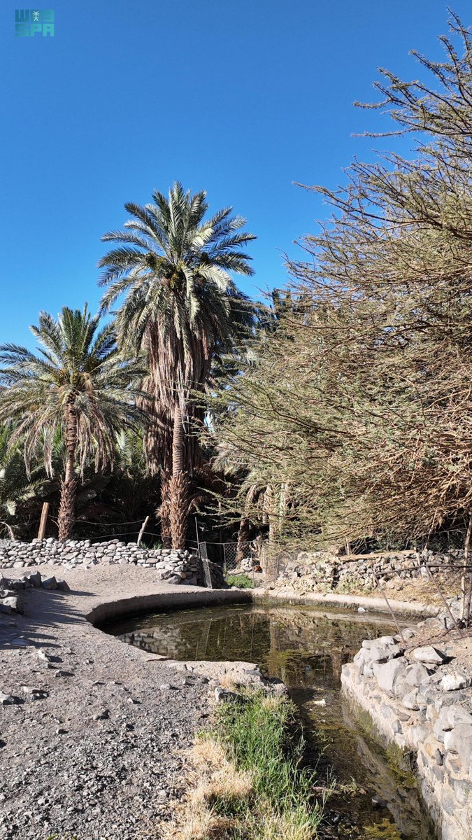 "عين شلال".. ذاكرة جريان وحياة لأهالي ومزارع العُلا.
spa.gov.sa/N2356269
#واس_جودة_الحياة