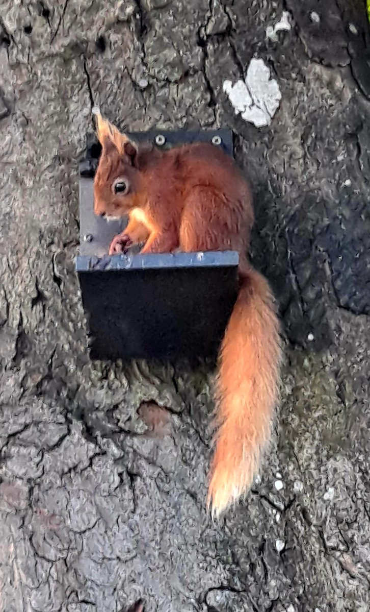 Right outside the front door. 🙂
