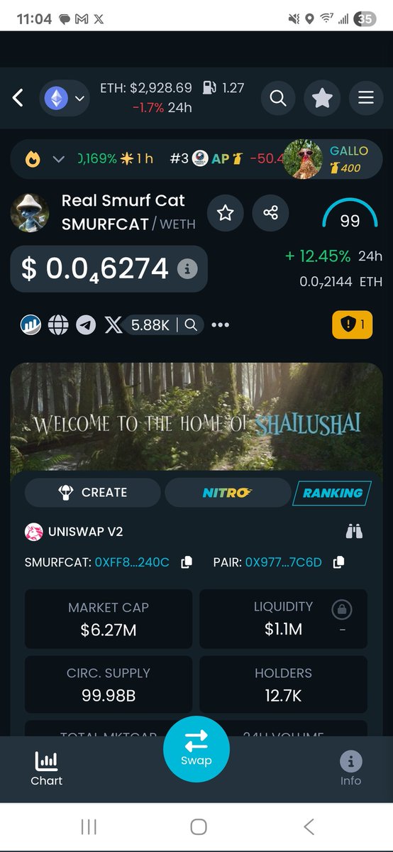 __URUZ__'s tweet photo. #SMURFCAT has over $1.1M locked liquidity with just a $6.2M market cap. 
Liquidity/Market Cap Ratio: ~17.5%

That’s bullish it shows this isn’t a quick cash grab. SmurfCat is built to last.

#SmurfCat #MemeCoin #CryptoLiquidity #WAGMI #SlowmoCat #Solana #Altcoins #Bullish #CryptoCommunity