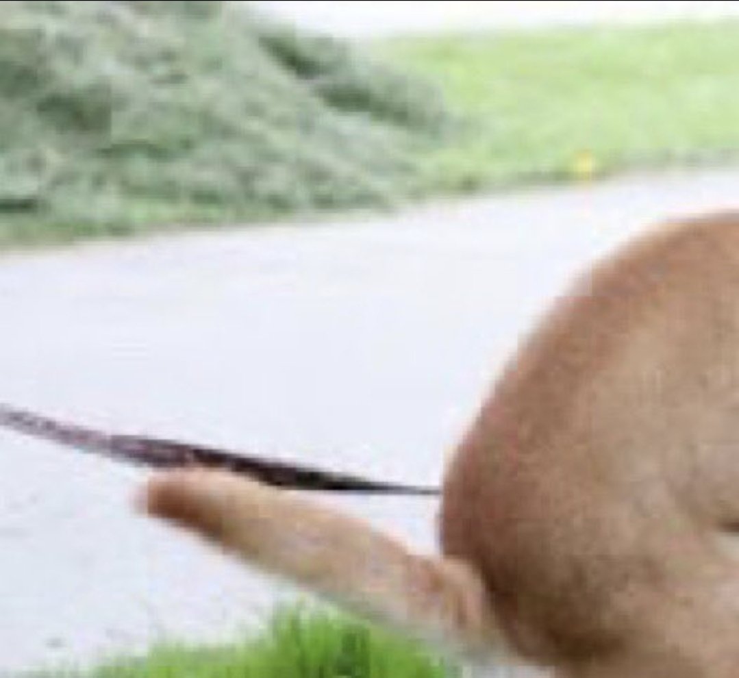 똥싸는계정 tweet media