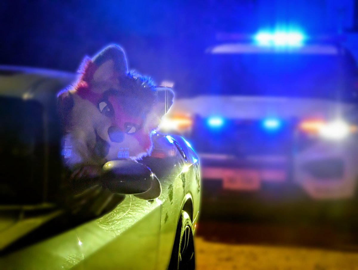 ShinzuFoxx's tweet image. Fuck

📸-@Labraderpy