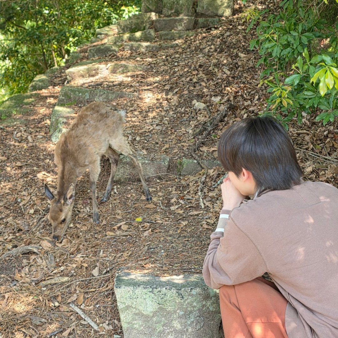 leedaeulpics's tweet image. new instagram pfp
#leedaeul #이다을 #李多乙 #POLARIX #폴라릭스
