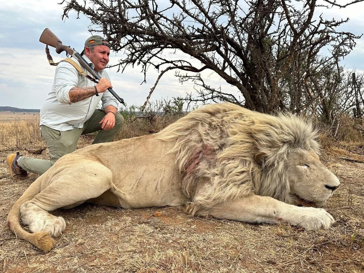 AbiluTangwa's tweet image. Trophy hunting is not conservation,it&apos;s madness. Killing wildlife for sport in the 21st century is unjustifiable. Protect animals, not egos. #trophyhuntingisnotconservation