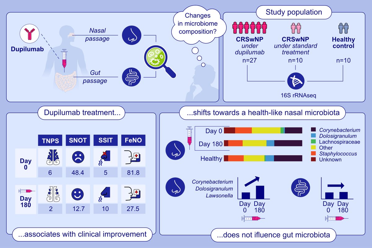 Open Access: Dupilumab Treatment Is Associated With Clinical Improvement and a Shift Toward a Health-Associated Nasal Passage Microbiota in Diffuse Type 2 Chronic Rhinosinusitis. First author: Fabio S. Ryser; corresponding author: Silvio D. Brugger

Read the article here: