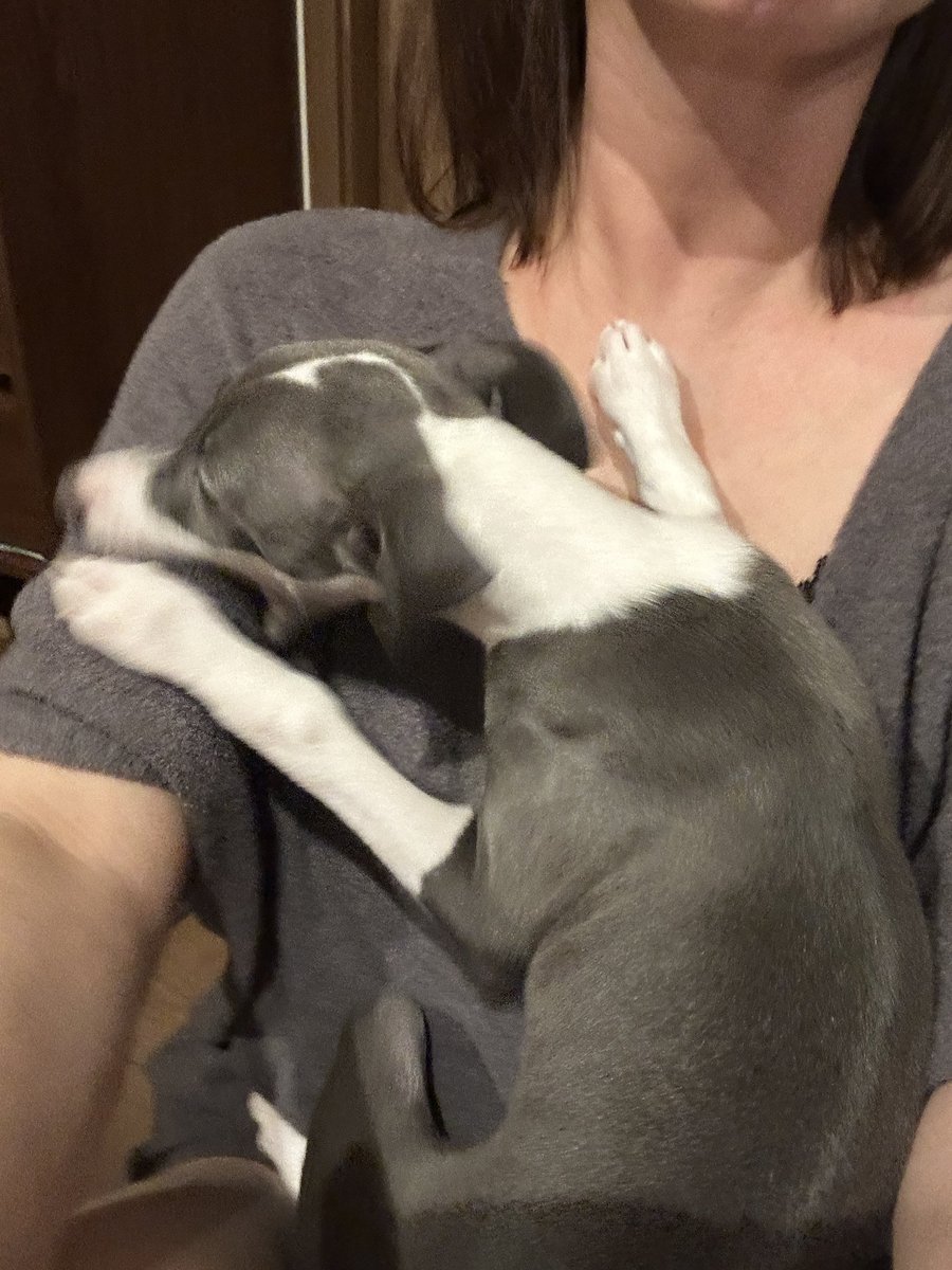 何回見ても笑うw
腕の中でわちゃわちゃしてるから何してるのか撮ったら噛んでたwwww