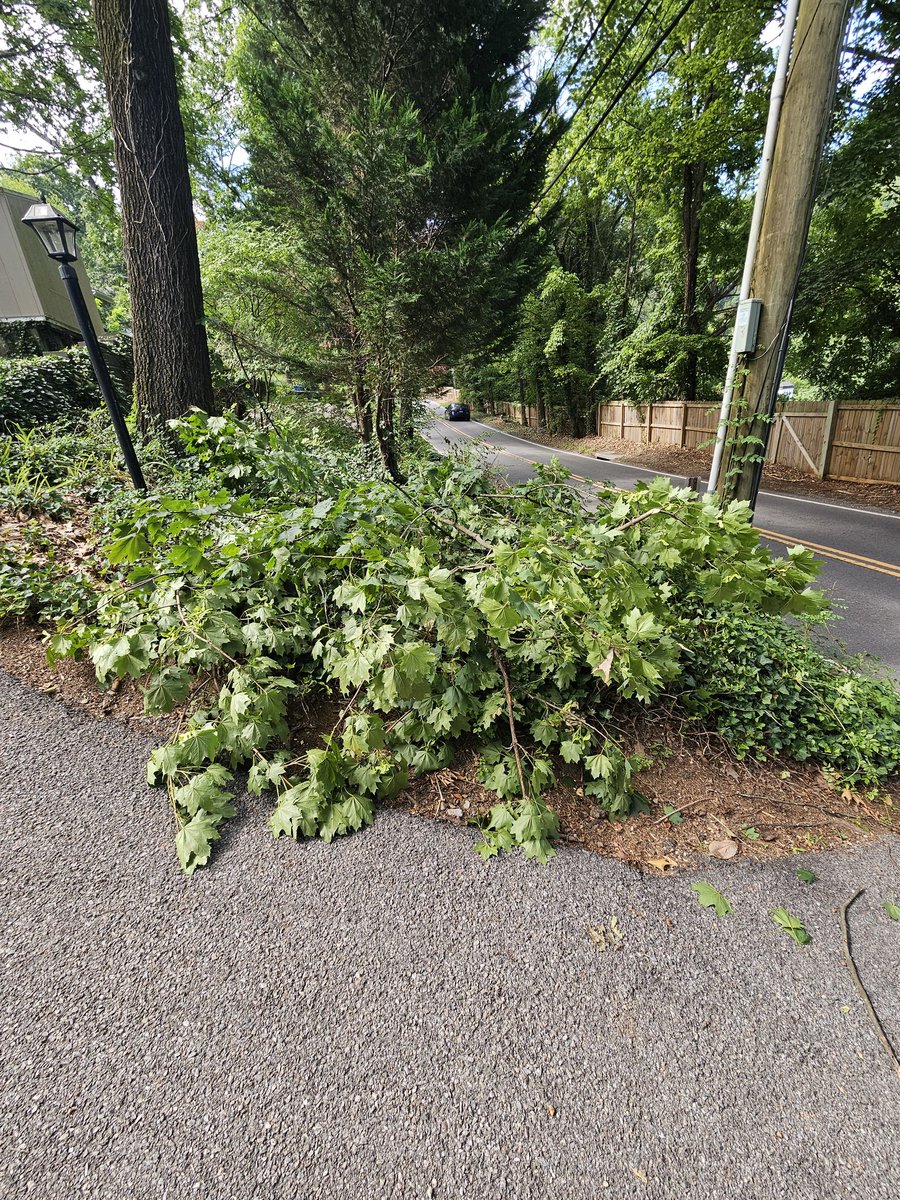 Justin Ditmore tweet media