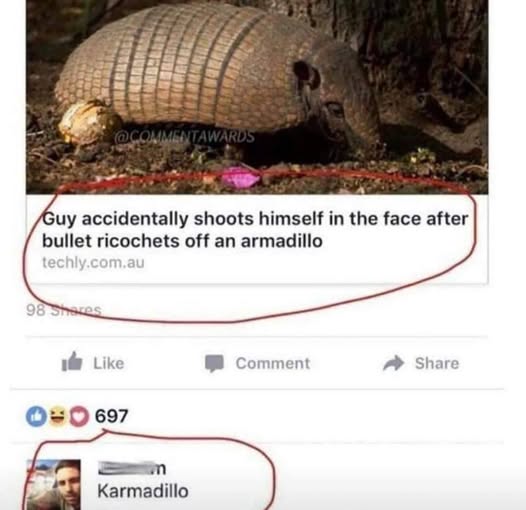 Hillbilly Highlander (@hillbillyhighl1) on Twitter photo 