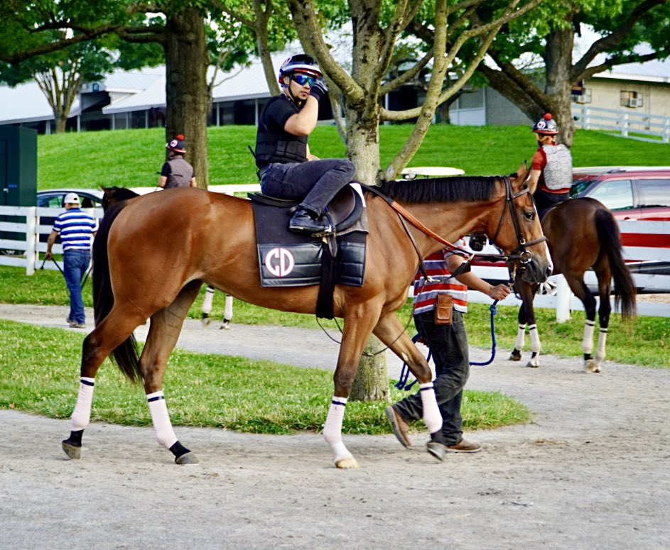 BelladonnaRaci1's tweet image. The only race without a scratch on today’s 12-strong Saratoga card is race 2 (1:07 ET), where we have #6 ATROPA (Into Mischief-Bellera) facing six juvenile fillies going 6 furlongs. Manny Franco has the call on this firster (3/1 ML second-choice).