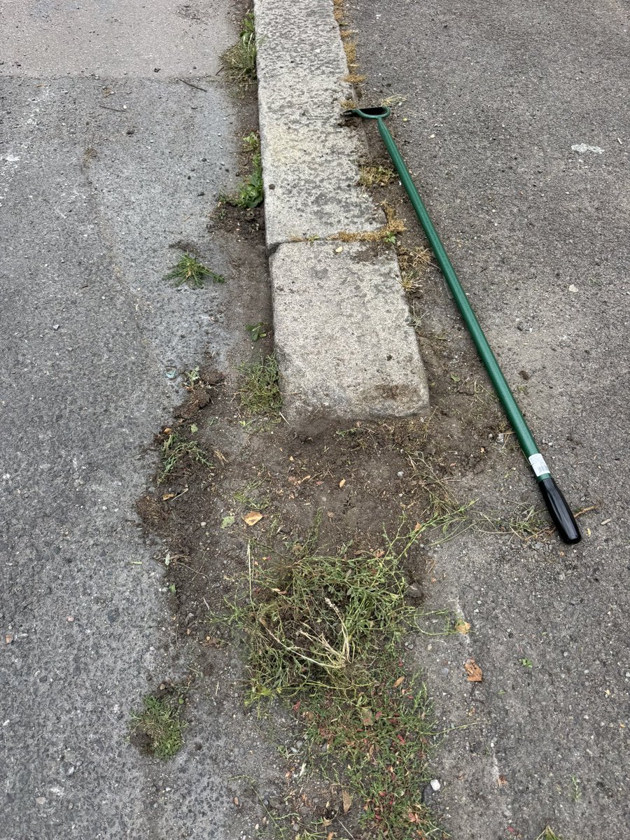 YusufJPatel's tweet image. 📍Bisterne Avenue, Upper Walthamstow
Great to see neighbours out weeding their street! These volunteers are creating spaces where bees can flourish by hand-weeding instead of using harmful pesticides.
Interested in a bee-friendly street? The Council offers support 🐝