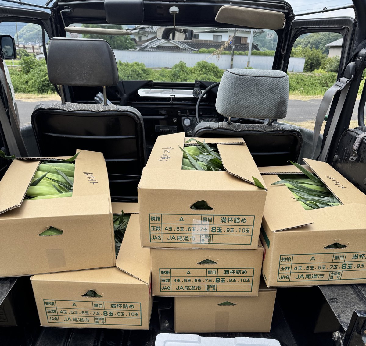 kudamogu's tweet photo. 生で食べて美味しい
朝どれ！とうもろこし
はじまります！
丸ごと1ケース15本
🌽🌽🌽🌽🌽 🌽🌽🌽🌽🌽 🌽🌽🌽🌽🌽
リツイート&amp;@kudamogu フォロー
1名🎁　〆切来週19日23:59 https://t.co/l8rckpxuKs
