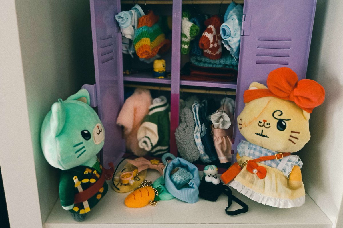 ailrue's tweet image. Nyanji and Nyanzo got a full closet ❤️💙