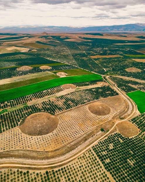 📍 Sardes Antik Kenti ve Bin Tepe Lidya Tümülüsleri UNESCO Dünya Miras Listesi'nde!

Ülkemizin de üye olduğu ve UNESCO Dünya Miras Listesi'ne ilişkin çalışmaları yürüten Dünya Miras Komitesinin 47. Oturumunda, bugün alınan kararla Manisa’daki “Sardes Antik Kenti ve Bin Tepe Lidya