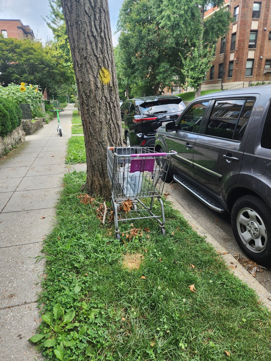 Anc1D07's tweet image. Abandoned shopping cart with trash in it in front of 1450 Spring Road NW @311DCgov