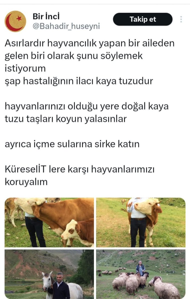 LÜTFEN PAYLAŞALIM,,

Hayvanlarınızı aşıdan koruyun, eskilerin yaptığı gibi kaya tuzu yalatın !
Gönül Ayyıldız