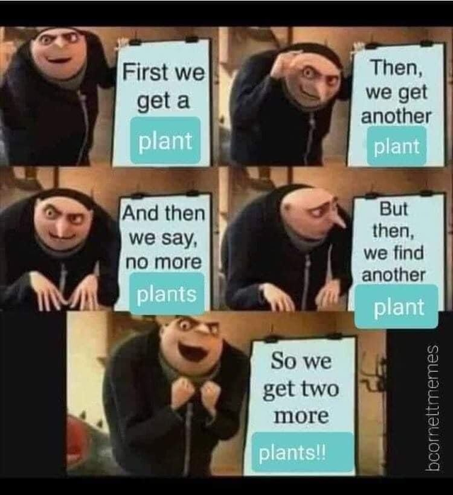 WholesomeMemes (@wholesomememe) on Twitter photo 