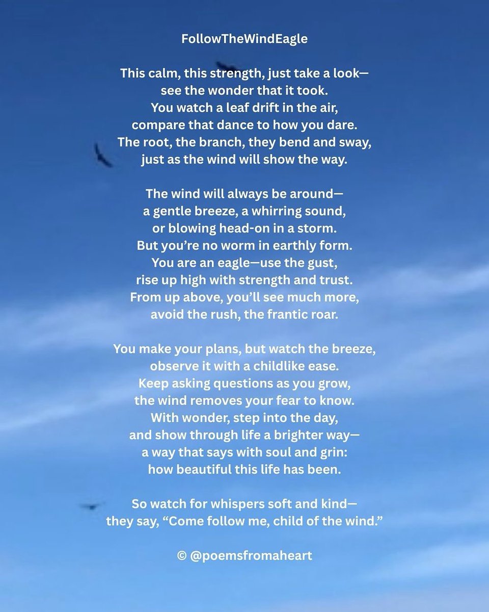 FollowTheWindEagle  #poetry #writingcommunity #poems #heart #believe #poetrycommunity #hope #hopepoems #poetryofhope #poetrylovers #poemsfromaheart #lightinthedark #janacek #vardar #bulgaria #rapsody #leafes #wind #storm #above #up
#weimar #eagle #sky #flying