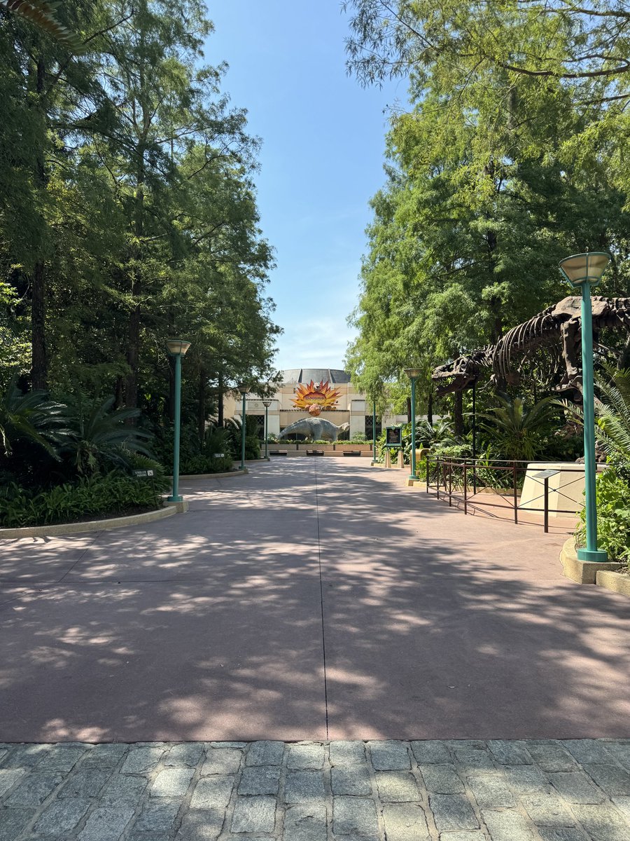 EvanPatel11's tweet image. An empty Dino Institute. Downtime at Dinosaur this morning means empty pics :)