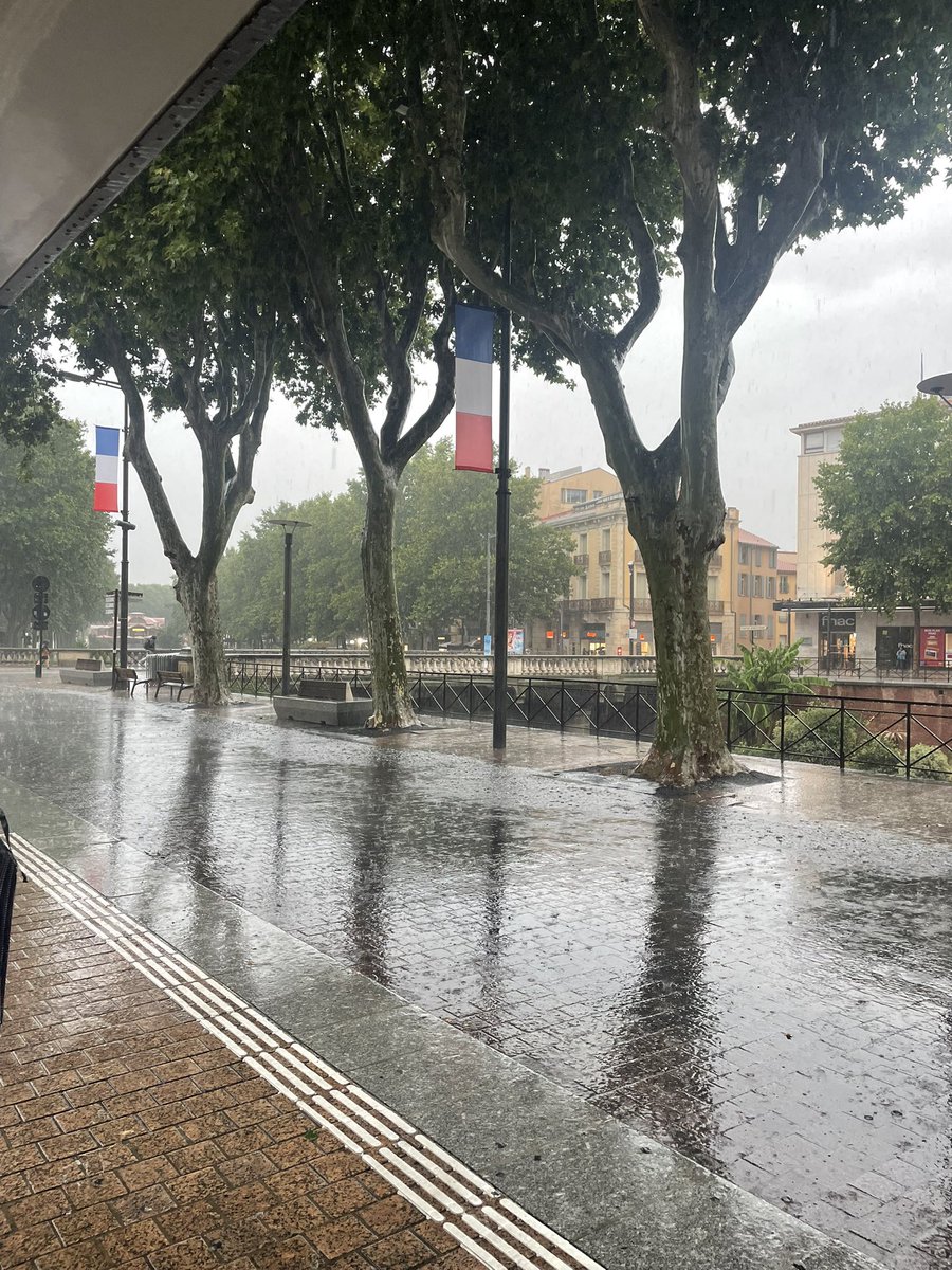 Matt Wilko tweet media