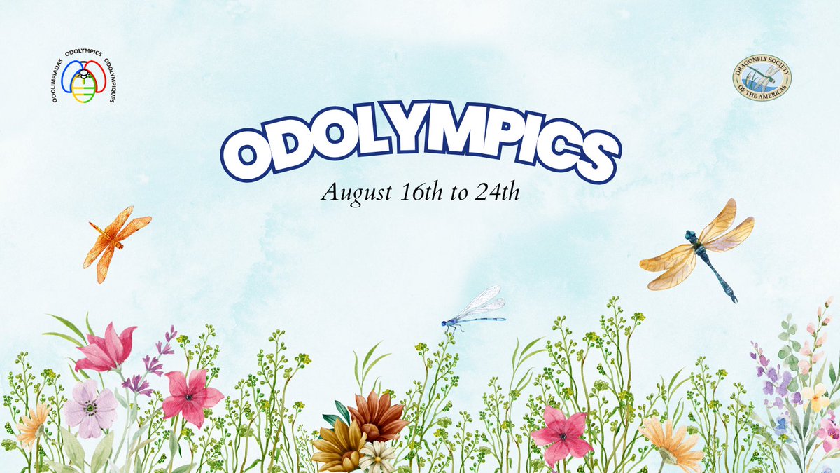 We are excited to announce the next Odolympics. These will be held from August 16 to 24. Grab your net and camera and record as many dragonflies as you can!

📷odonatacentral.org/#/