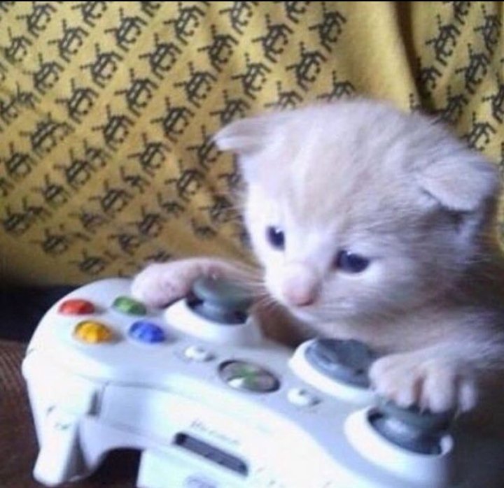 grind to rad, instalocking duelist every game

twitch.tv/natasval