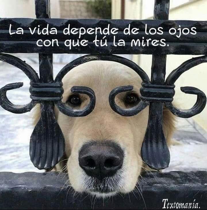 Que tengan un Super sábado! Mi día favorito de la semana! Hoy desde <a href="/Apedeorg/">APEDE</a> en nuestra rendición de cuentas de cada Comisión!