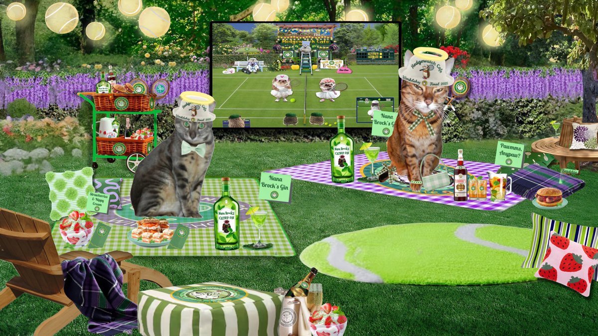 Lilyregale, 🌈Bibi😽,🌈 Colombo😽 (@lilyregale) on Twitter photo So happy to see so many pals from <a href="/Hedgewatchers/">Hedgewatch</a> community, having fun at #Wimblehog final at #HWCafe, meow Bibi&Colombo So happy to see so many pals from <a href="/Hedgewatchers/">Hedgewatch</a> community, having fun at #Wimblehog final at #HWCafe, meow Bibi&Colombo