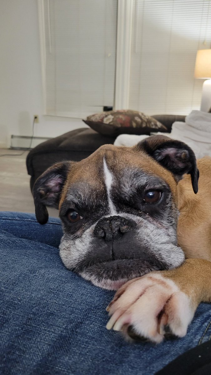 RoboMcGobo tweet media