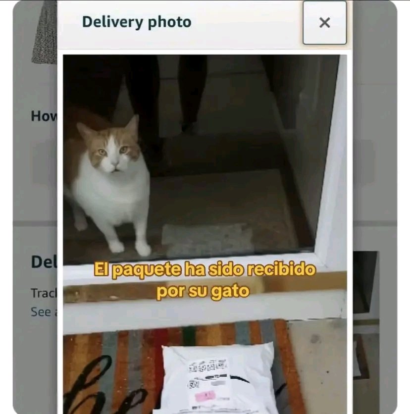 tiofelino2's tweet image. Paquete entregado 🐱🐾