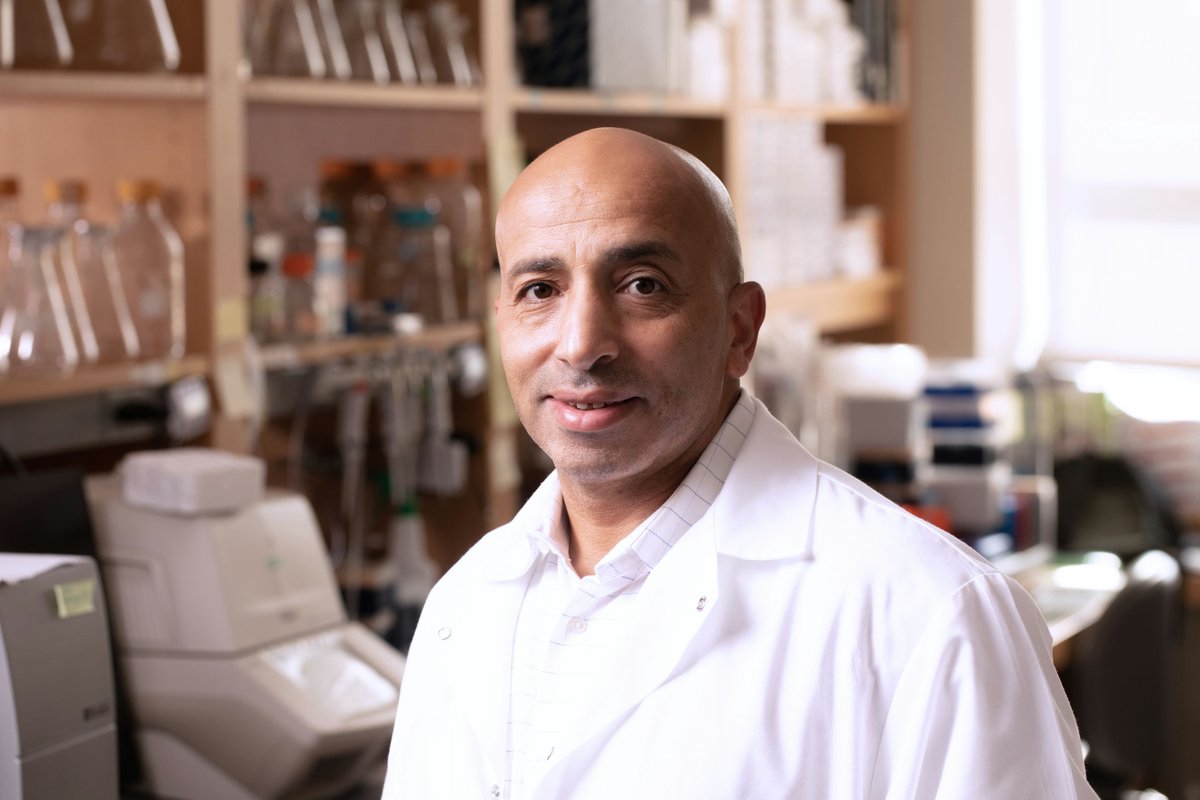 Yale's tweet image. Here's how parasites — and a bit of luck — led to a powerful drug discovery tool.
In a Q&A, Yale pathologist Choukri Ben Mamoun explains his lab’s unlikely path to developing a new test that could enhance drug discovery for infectious diseases — and treatments for conditions…