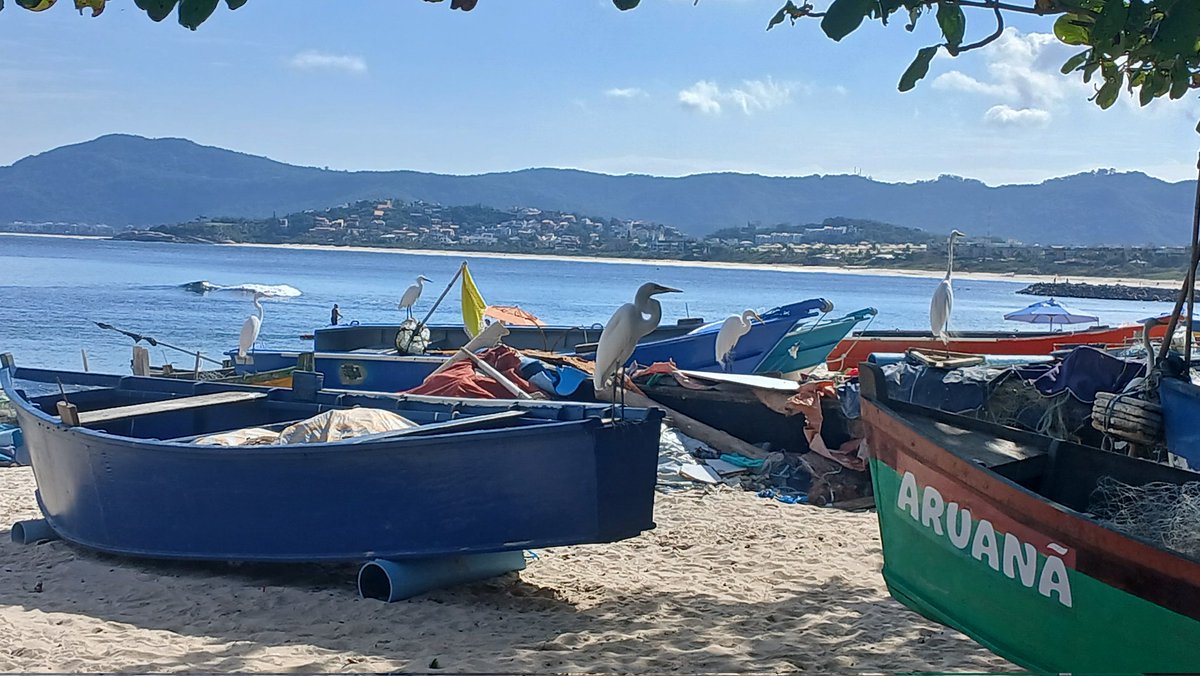 Beach day ⛱️😍
