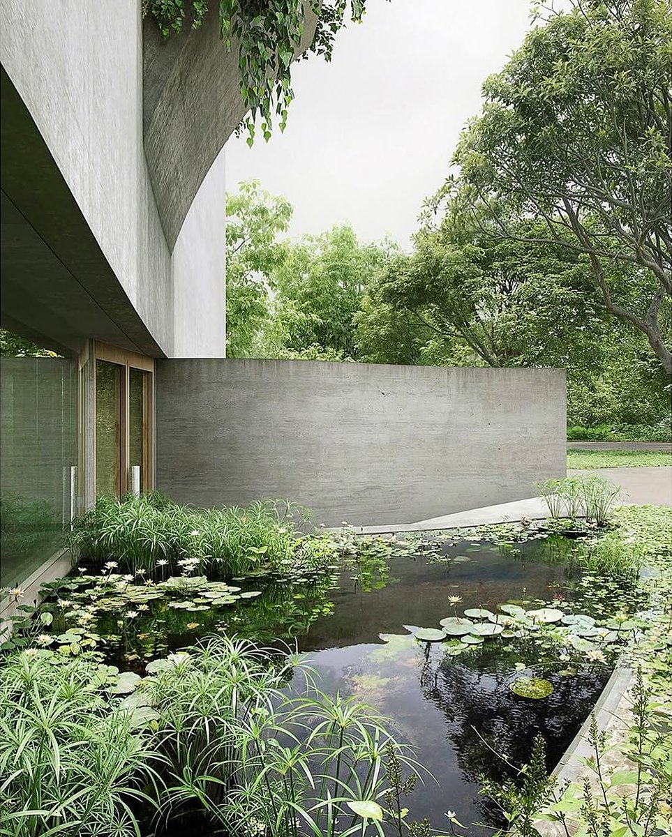 Neojiba rehearsal hall by Leopold Banchini Architects🍃