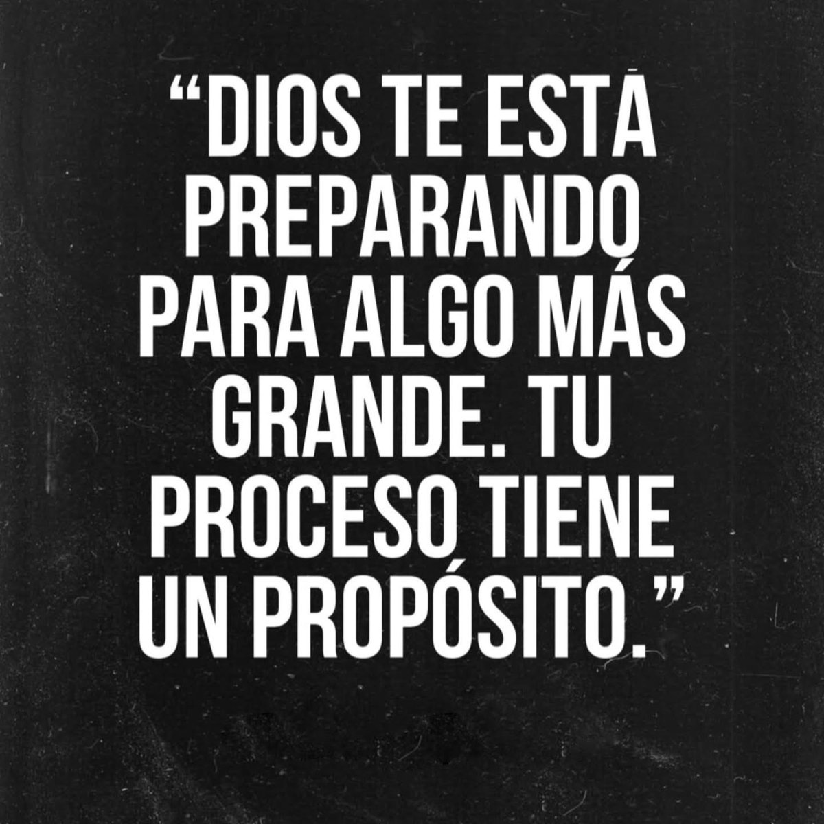 Biblia_Linea's tweet image. ✨