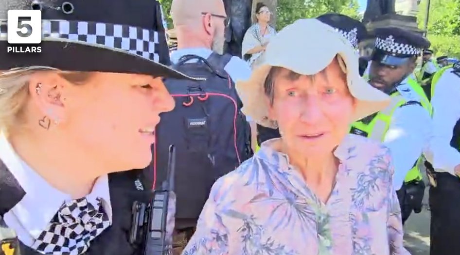 The police did well mobilising hundreds of officers to deal with this very obvious threat to Britain's national security. I feel so much safer now with this 80 year old behind bars. 

Well done Britain. Good one. 👍