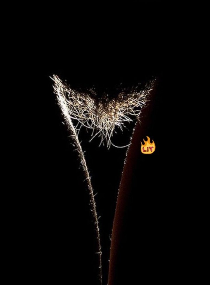 jfragosor's tweet photo. @DMarian17 Y si lo soy...
Lo soy por la perversión de nuestros deseos y pasiones, lo soy por complacernos mutuamente. Lo soy... Por tu cuerpo vehemente y por la húmedad que fluye en tu vértice!!!. Por ti lo soy.
#EroTuits
#LetrasAlViento
Soñemos https://t.co/8KHC91egx9