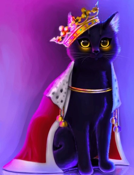 Is there a cat fight in Delco?
Or just a desperate  mutt cat screaming in heat again?🐈 😻 Let's not get distracted. It's Saturday, July 12th, and Leah Hoopes and company still have zero confirmed victories across all trial courts, with Commonwealth Court appeals, federal