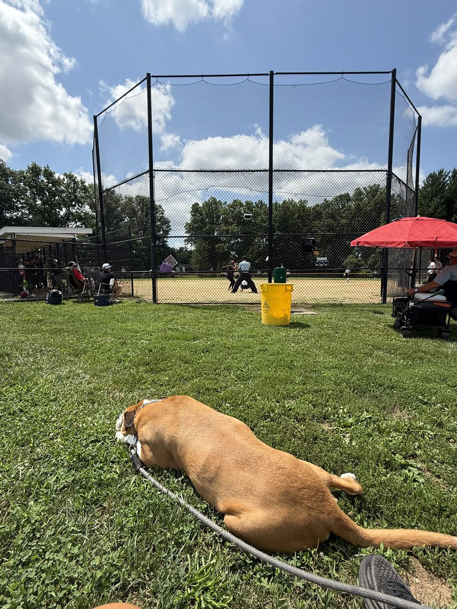 Watching our future pride today !! 💙🥎🦁🐶🐕