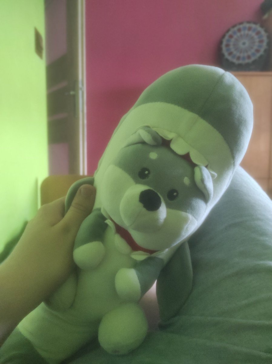 Jacod_L's tweet image. im back homeeeee :'D finallyyyy
also i forgot to mention, Chompie had his 1st year anniversary!!! :D
happy birthday to this cute lil boi &gt;w&lt;