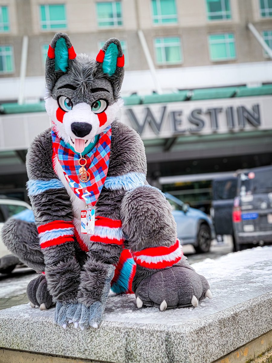 BlizzTheWolf's tweet image. “The concierge will be with you shortly” 🏨
The concierge: 🐶