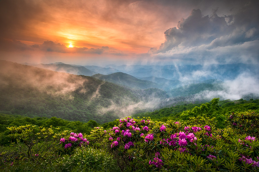 DaveAllenPhoto's tweet image. Good morning from the beautiful mountains of Western North Carolina, I hope you&apos;re all getting into some great adventures this weekend! 😀 #photography