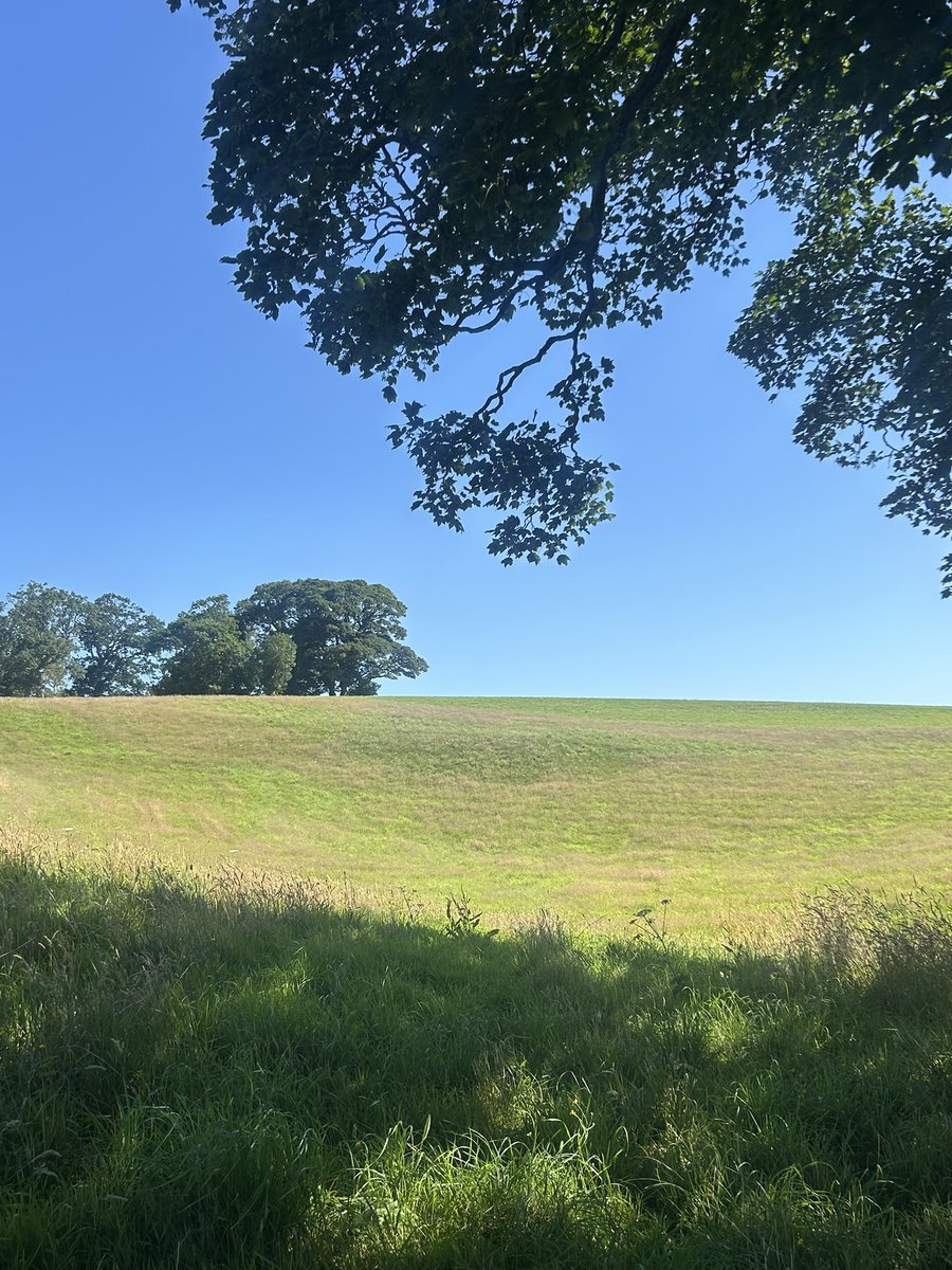Not a bad #Saturday:
✅ 12km stroll around Caerwys 
✅ water fight with nephew 
✅ curry