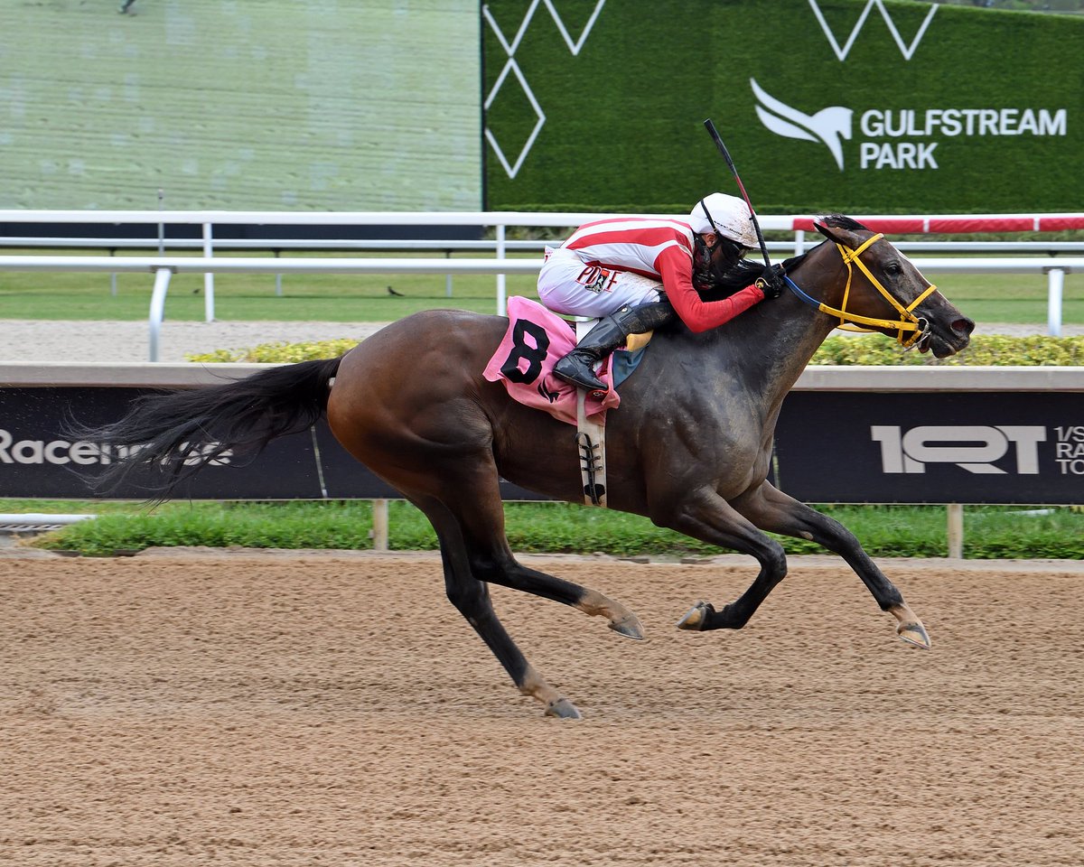 Noble Dreamer powers home to deliver in race 7, <a href="/Josemorelos_/">José Morelos</a> aboard for trainer <a href="/JGaroffalo/">Jose Garoffalo</a>. #GulfstreamPark #RoyalPalmMeet