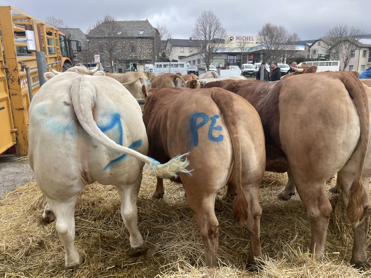 R_Hugon_43's tweet image. Je suis fiers d’être altiligériens, heureux de vivre #HauteLoire Monsieur #JacquesMarcon
Je travaille au quotidien avec des agriculteurs qui ne sont pas des pollueurs sans foi ni loi.
Vous mettez en valeur des produits qu’ils ne pourront jamais venir goûter chez vous ! Respect