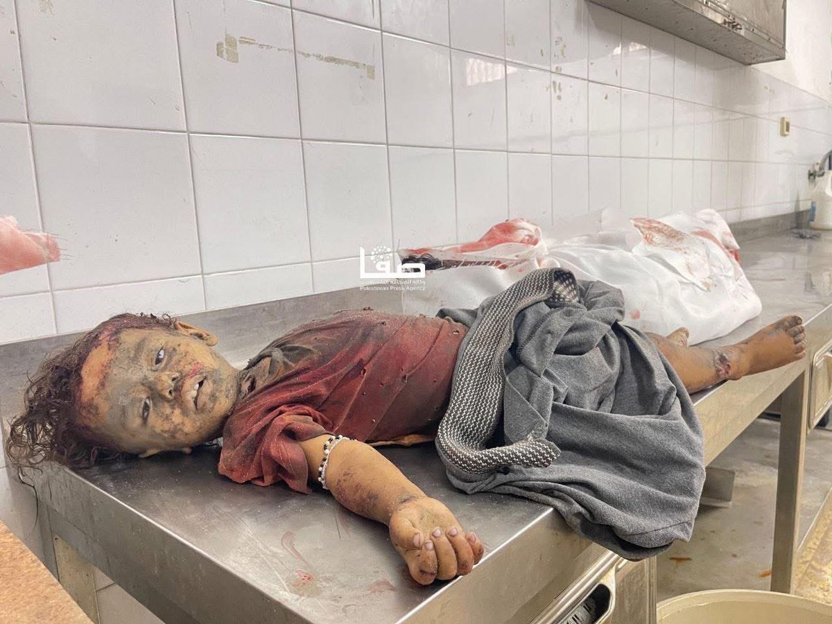 Gazze'de bugün yine sadece Bombalar ve ölüm vardı😢
Gaza Palestine
#GazaGenocide #FreePalestine