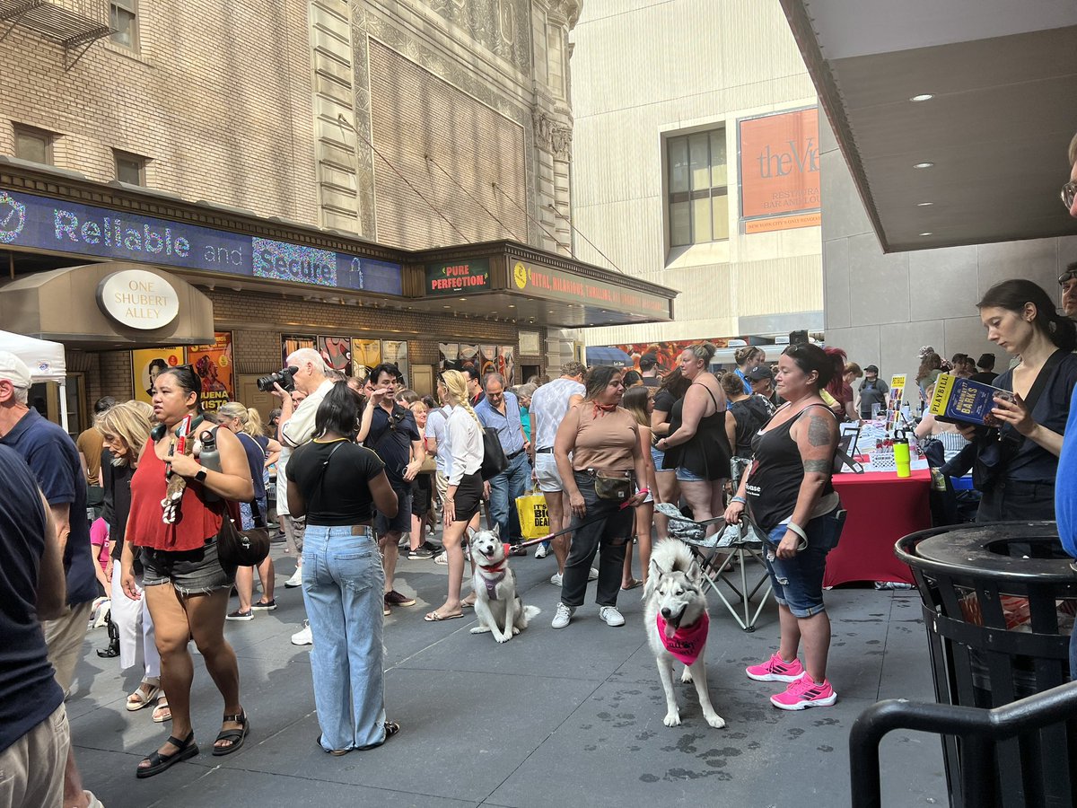 TimesSquareNYC's tweet image. Broadway Barks is back for it’s 26th year! 🐶🎉
#nyc #broadway #broadwaybarks #broadwaycares