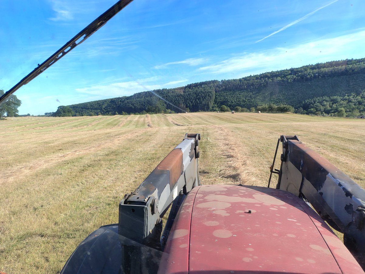 Hayfield baled.
Disastrous yield due to the drought.
Last year was a record of 242 bales from the 31 acre field.
This year it has produced 54 bales.