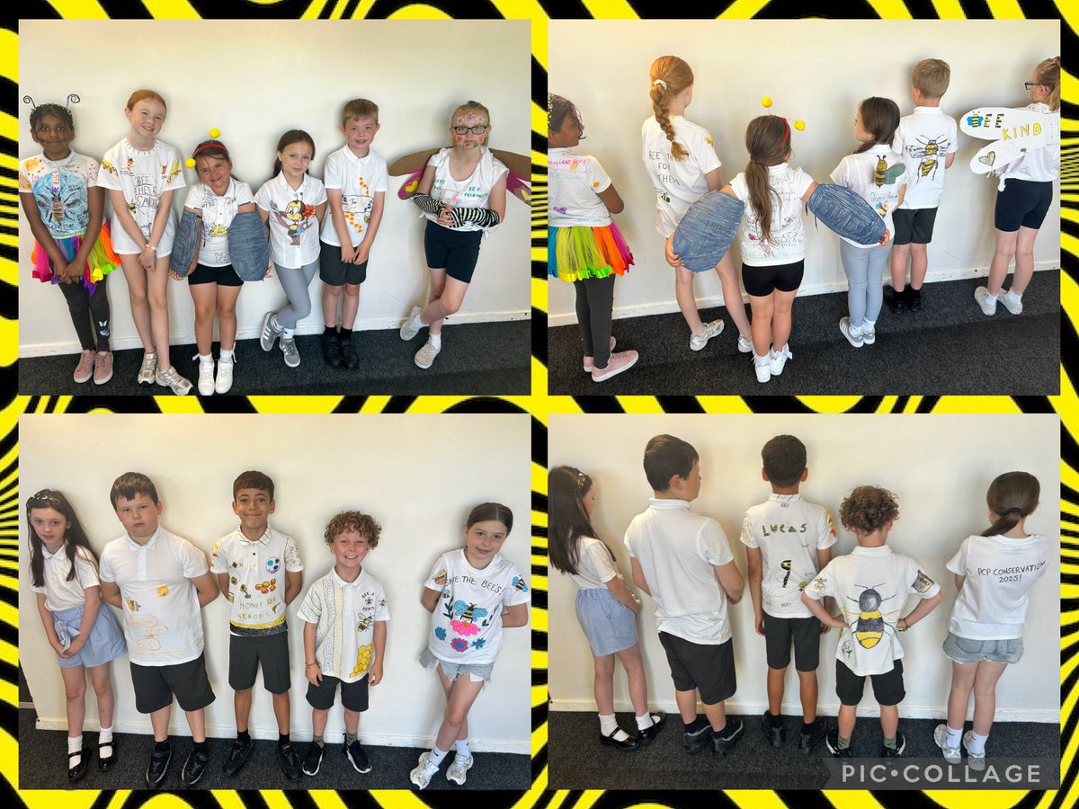 PCPZebras's tweet photo. Our wonderful Conservation T-Shirt Competition designs!! 🐝👕 #saveourbees #pcpconservation https://t.co/iYIFAQa3Hn