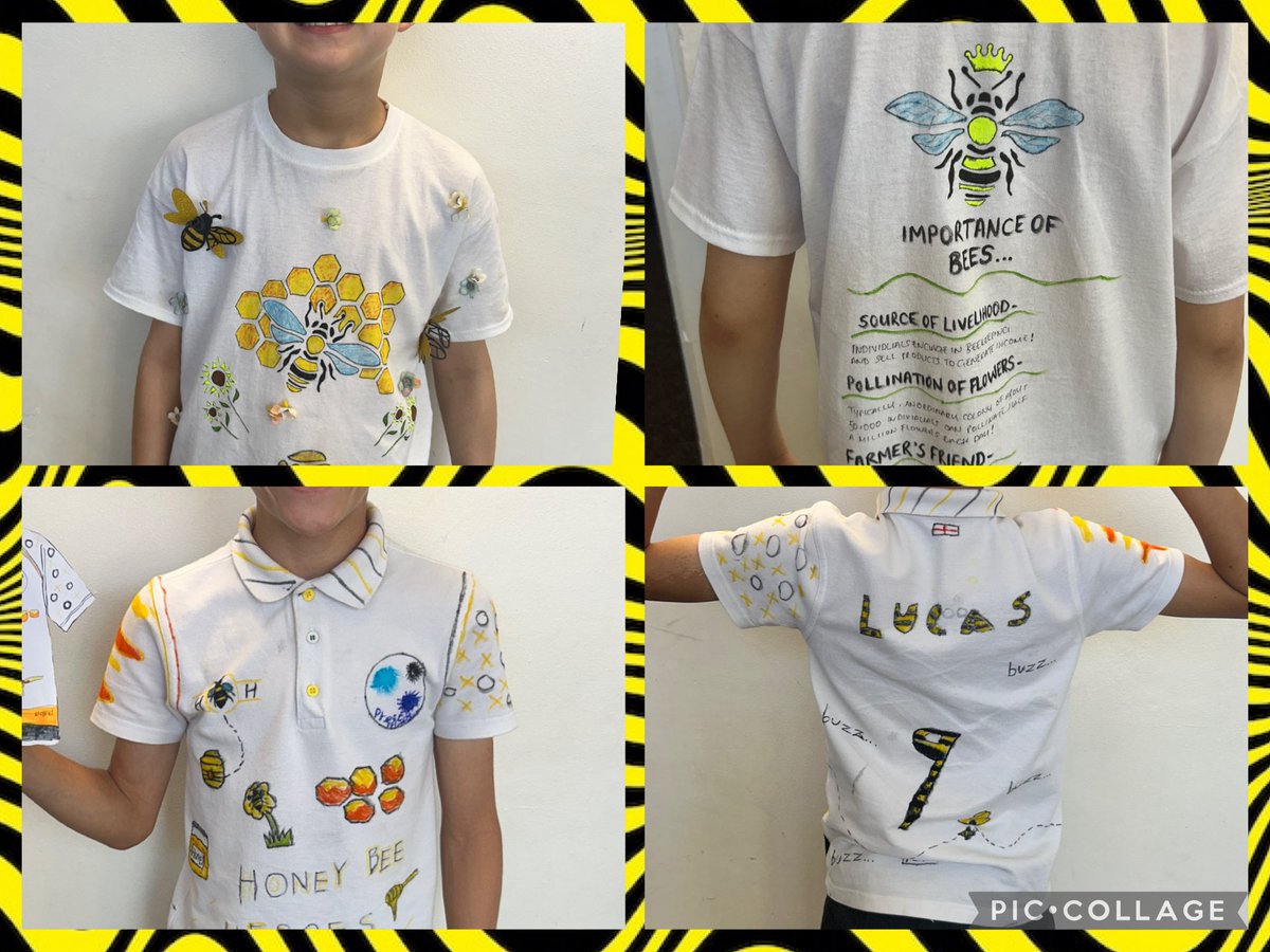 PCPZebras's tweet photo. Our wonderful Conservation T-Shirt Competition designs!! 🐝👕 #saveourbees #pcpconservation https://t.co/iYIFAQa3Hn